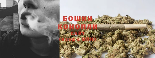 амф Аркадак
