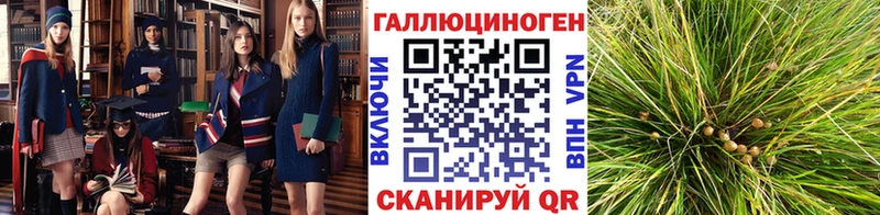 blacksprut вход магазин продажи Ступино Галлюциногенные грибы мухоморы