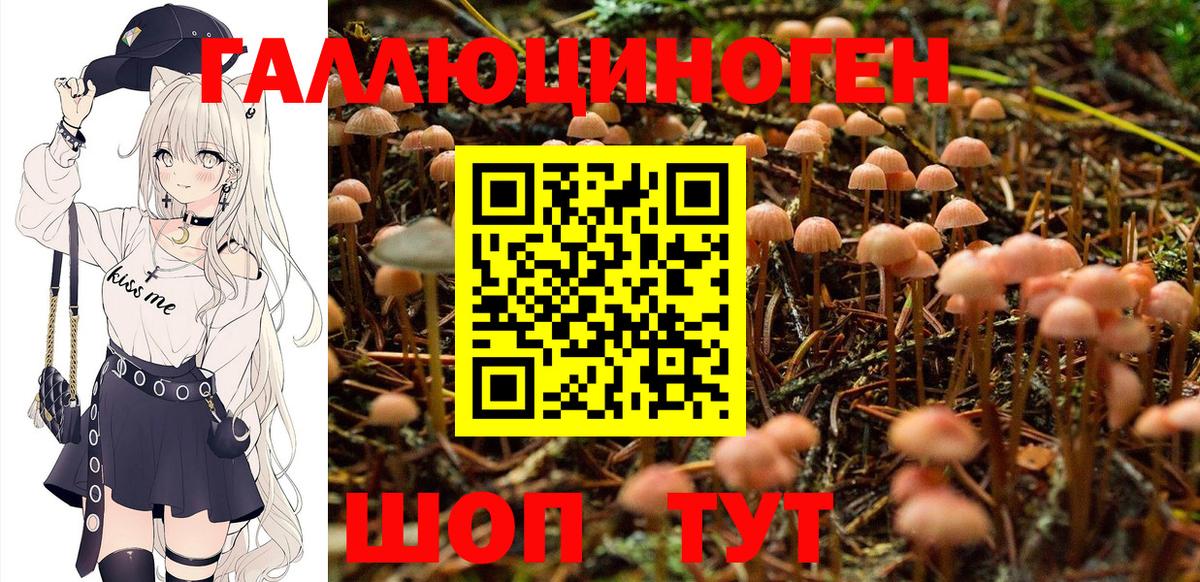 Ступино  Псилоцибиновые грибы Cubensis  Галлюциногенные грибы мицелий  Вход с VPN 